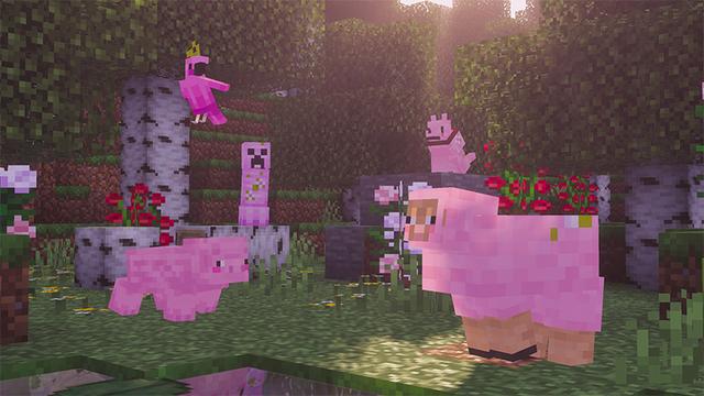 Screenshot of the Minecraft Bedrock Marketplace product Prizma Visuals created by Starfish Studios.