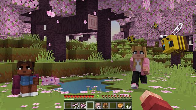 Screenshot of the Minecraft Bedrock Marketplace product Smooth Moves Animations created by Starfish Studios.