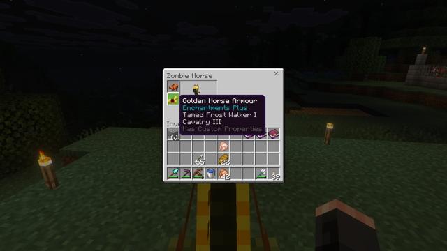 Screenshot of the Minecraft Bedrock Marketplace product Enchantments Plus created by StarkTMA.