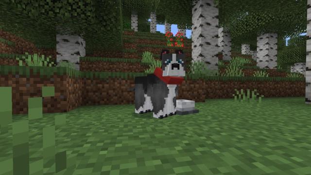 Screenshot of the Minecraft Bedrock Marketplace product Cats And Dogs Add-On! created by Street Studios.