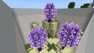 Screenshot of the Minecraft Bedrock Marketplace product Find The Button created by Street Studios.