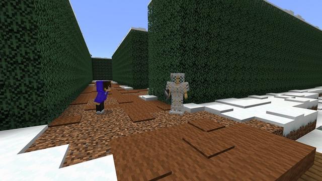 Screenshot of the Minecraft Bedrock Marketplace product Frozen Maze created by Street Studios.