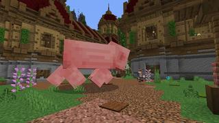 Screenshot of the Minecraft Bedrock Marketplace product Pirate Lucky Block created by Street Studios.