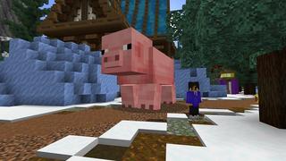 Screenshot of the Minecraft Bedrock Marketplace product Winter Lucky Block created by Street Studios.