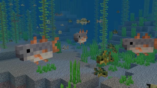 Screenshot of the Minecraft Bedrock Marketplace product Aquaculture Add-On created by Team Metallurgy.