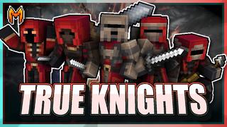Thumbnail of the Minecraft Bedrock Marketplace product True Knights created by Team Metallurgy.