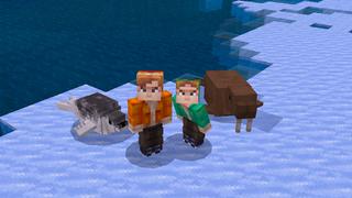 Screenshot of the Minecraft Bedrock Marketplace product Arctic Animals created by Team Vaeron.