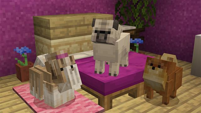 Screenshot of the Minecraft Bedrock Marketplace product Pets 2 created by Team Vaeron.