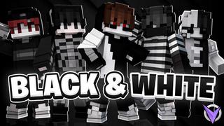 Thumbnail of the Minecraft Bedrock Marketplace product Black & White created by Team Visionary.