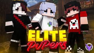 Thumbnail of the Minecraft Bedrock Marketplace product Elite PvPers created by Team Visionary.