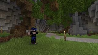 Screenshot of the Minecraft Bedrock Marketplace product Ninja Battle created by Team Visionary.