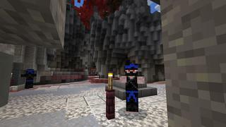 Screenshot of the Minecraft Bedrock Marketplace product Ninja Battle created by Team Visionary.