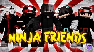 Thumbnail of the Minecraft Bedrock Marketplace product Ninja Friends created by Team Visionary.