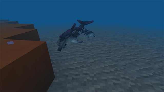 Screenshot of the Minecraft Bedrock Marketplace product Otter Cove created by Team Visionary.