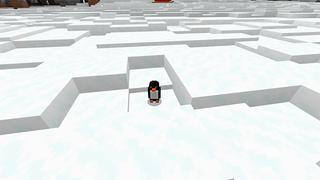 Screenshot of the Minecraft Bedrock Marketplace product Polar Station Survival created by Team Visionary.