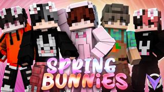 Thumbnail of the Minecraft Bedrock Marketplace product Spring Bunnies created by Team Visionary.