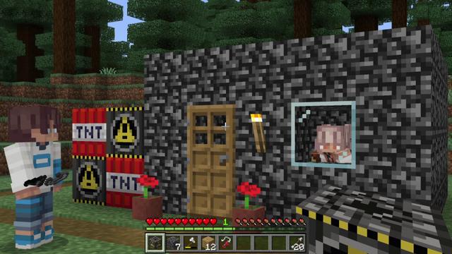 Screenshot of the Minecraft Bedrock Marketplace product Bedrock Tools Add-On created by Teplight.
