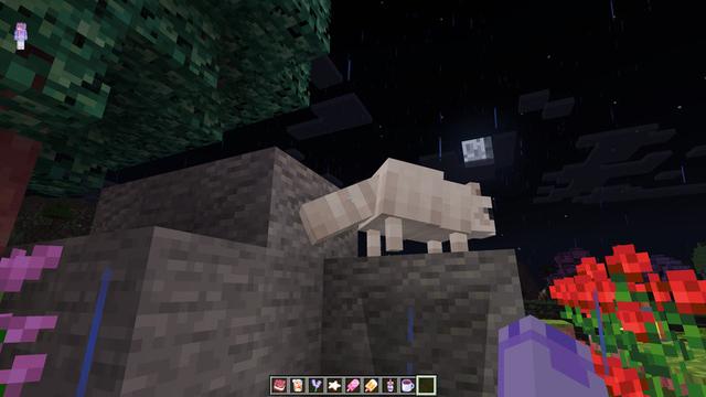 Screenshot of the Minecraft Bedrock Marketplace product NomCraft Add-On created by Tetrascape.
