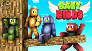 Thumbnail of the Minecraft Bedrock Marketplace product Baby Birds created by The Craft Stars.