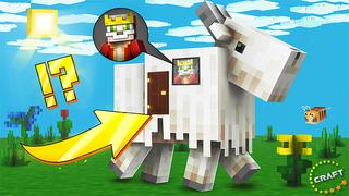 Thumbnail of the Minecraft Bedrock Marketplace product Goat Simulator created by The Craft Stars.