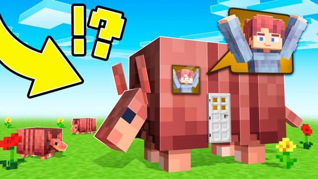 Thumbnail of the Minecraft Bedrock Marketplace product How to Live in an Armadillo? created by The Craft Stars.