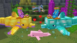 Screenshot of the Minecraft Bedrock Marketplace product How to Live Inside a Dolphin? created by The Craft Stars.