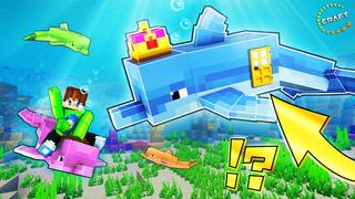 Thumbnail of the Minecraft Bedrock Marketplace product How to Live Inside a Dolphin? created by The Craft Stars.