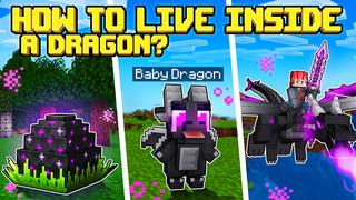 Thumbnail of the Minecraft Bedrock Marketplace product How to live inside a Dragon? created by The Craft Stars.