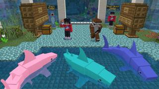 Screenshot of the Minecraft Bedrock Marketplace product How to Live Inside a Shark? created by The Craft Stars.