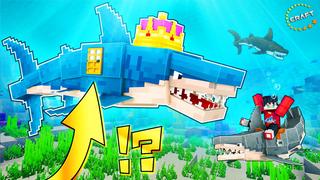 Thumbnail of the Minecraft Bedrock Marketplace product How to Live Inside a Shark? created by The Craft Stars.