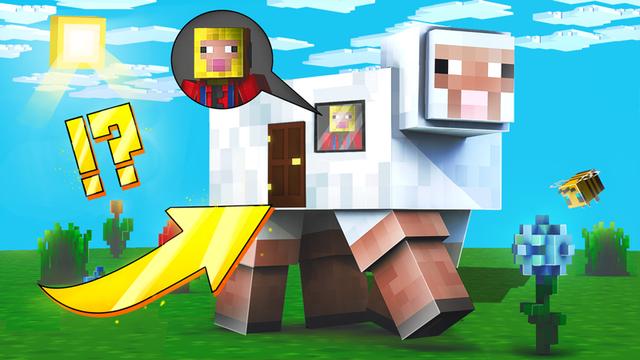 Thumbnail of the Minecraft Bedrock Marketplace product How to Live inside a Sheep? created by The Craft Stars.