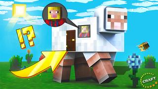 Thumbnail of the Minecraft Bedrock Marketplace product How to Live inside a Sheep? created by The Craft Stars.