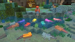 Screenshot of the Minecraft Bedrock Marketplace product How to live inside an Axolotl? created by The Craft Stars.