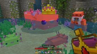 Screenshot of the Minecraft Bedrock Marketplace product How to live inside an Axolotl? created by The Craft Stars.