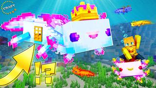 Thumbnail of the Minecraft Bedrock Marketplace product How to live inside an Axolotl? created by The Craft Stars.