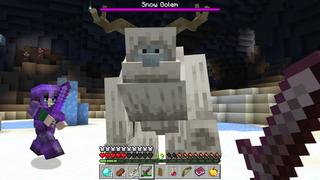 Screenshot of the Minecraft Bedrock Marketplace product MEGA ICE VILLAGE created by The Craft Stars.