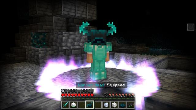 Screenshot of the Minecraft Bedrock Marketplace product Mob Heads Add-On created by The Craft Stars.