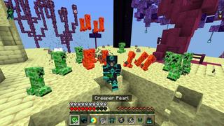 Screenshot of the Minecraft Bedrock Marketplace product Super Pearls created by The Craft Stars.