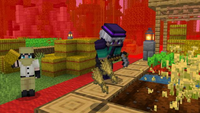 Screenshot of the Minecraft Bedrock Marketplace product Survival But Can't Leave Chunk created by The Craft Stars.