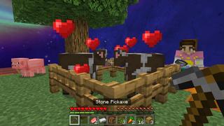 Screenshot of the Minecraft Bedrock Marketplace product Survival on the SUN! created by The Craft Stars.