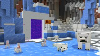 Screenshot of the Minecraft Bedrock Marketplace product Transformed End Portal created by The Craft Stars.