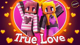 Thumbnail of the Minecraft Bedrock Marketplace product True Love created by The Craft Stars.