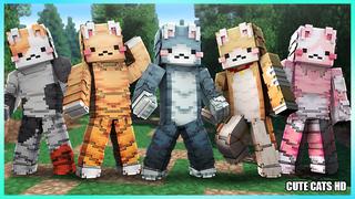 Thumbnail of the Minecraft Bedrock Marketplace product Cute Cats HD created by The Lucky Petals.