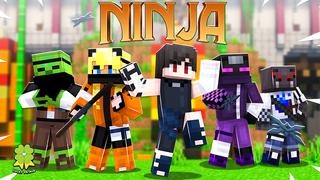 Thumbnail of the Minecraft Bedrock Marketplace product Ninja created by The Lucky Petals.