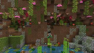 Screenshot of the Minecraft Bedrock Marketplace product Speed Parkour created by The Rage Craft Room.