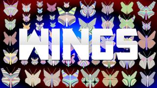 Thumbnail of the Minecraft Bedrock Marketplace product Wings created by The World Foundry.