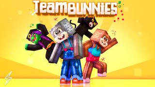 Thumbnail of the Minecraft Bedrock Marketplace product Team Bunnies created by ThunderAy.