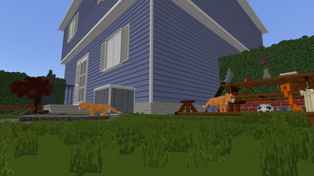 Screenshot of the Minecraft Bedrock Marketplace product Cat Vs Mouse created by Tomhmagic Creations.