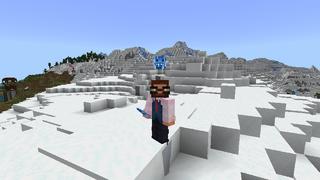 Screenshot of the Minecraft Bedrock Marketplace product Emojis created by Tomhmagic Creations.