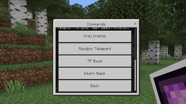 Screenshot of the Minecraft Bedrock Marketplace product Realm Management Tool - V1.4 created by Tomhmagic Creations.